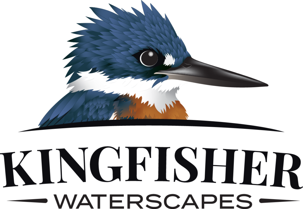 Kingfisher Waterscapes