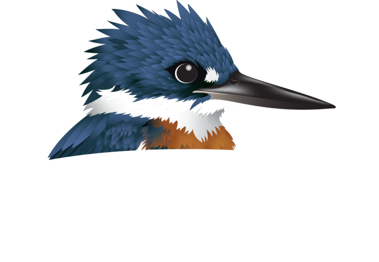 Kingfisher Waterscapes