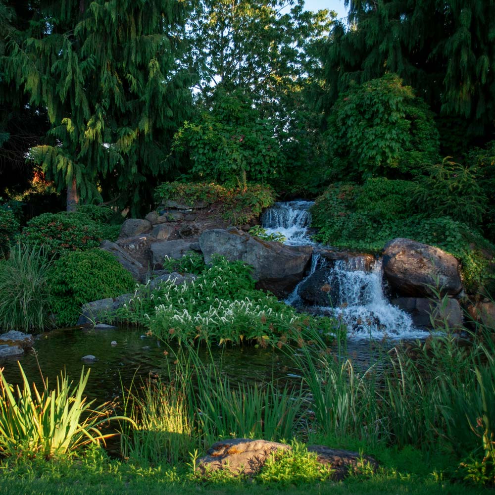 Waterfall