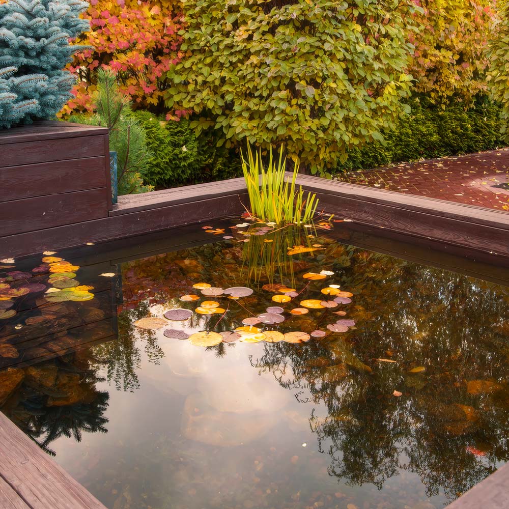Water Feature Installer - Ponds, fountains and more