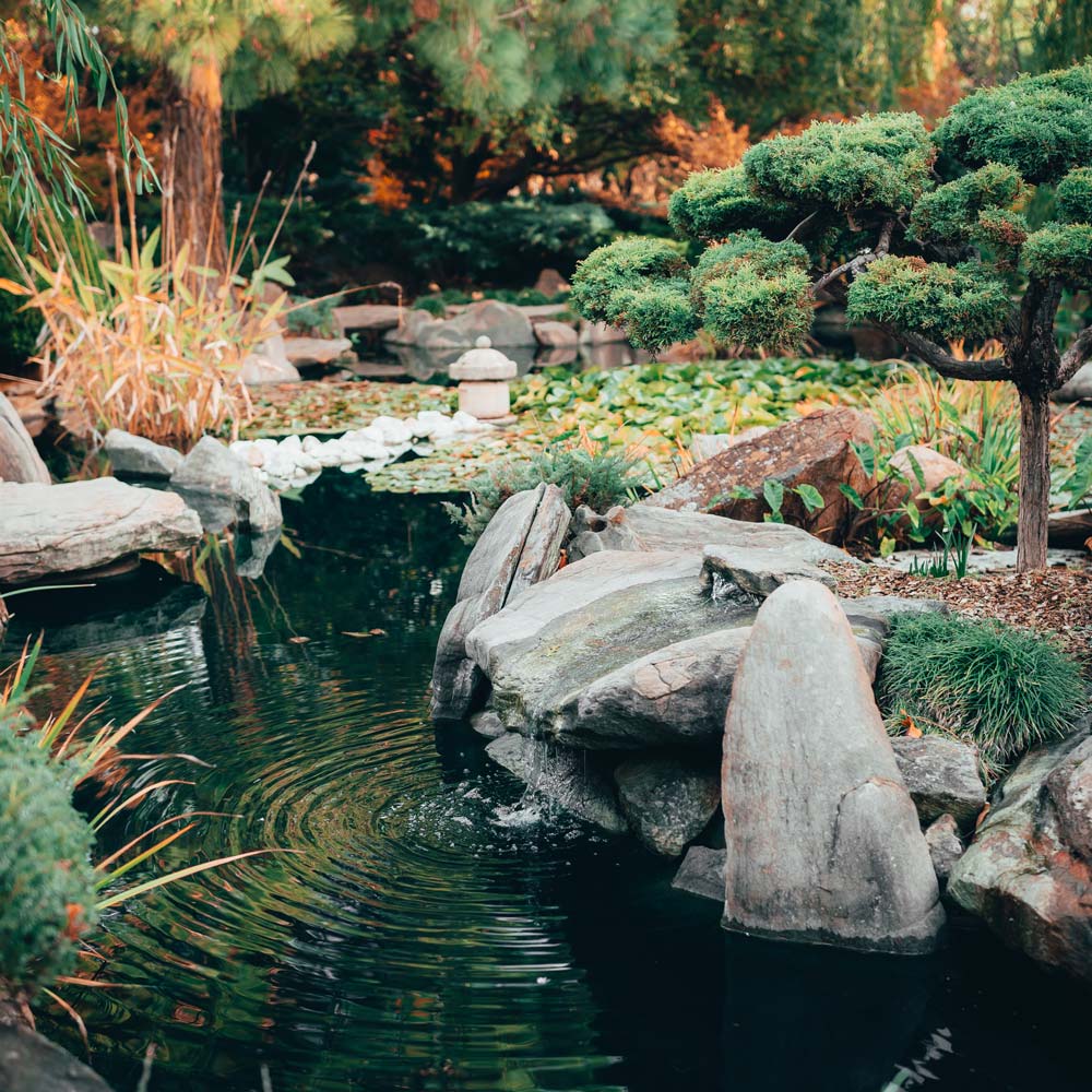 Japanese Water Garden