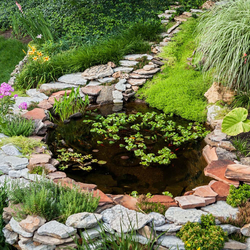 pond with path