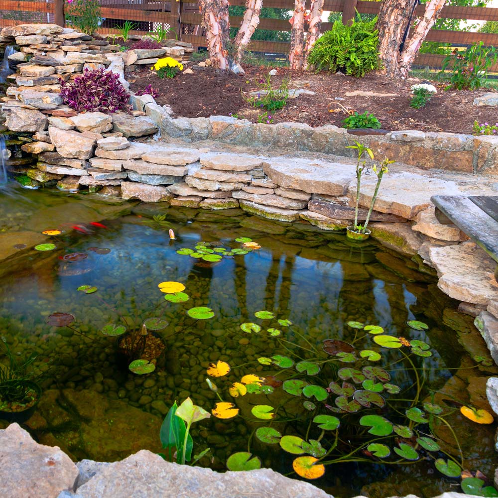 Pond Treatment & Algae Control