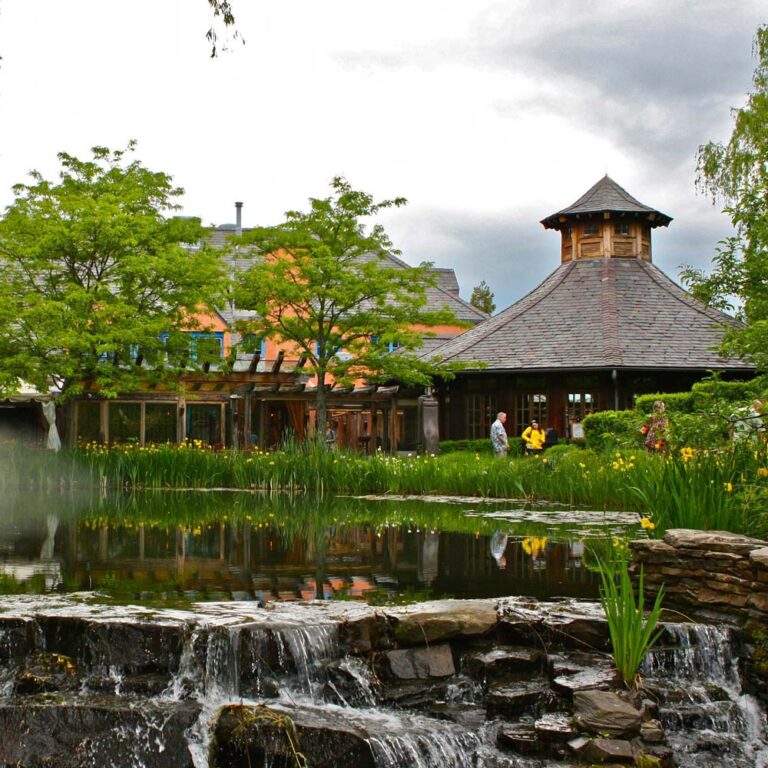 Pond Filtration