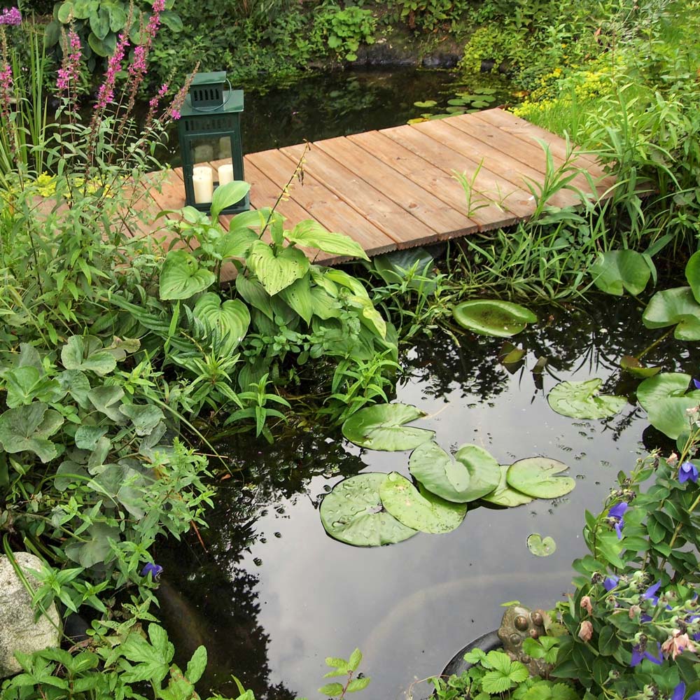 Bridge and lantern on pond