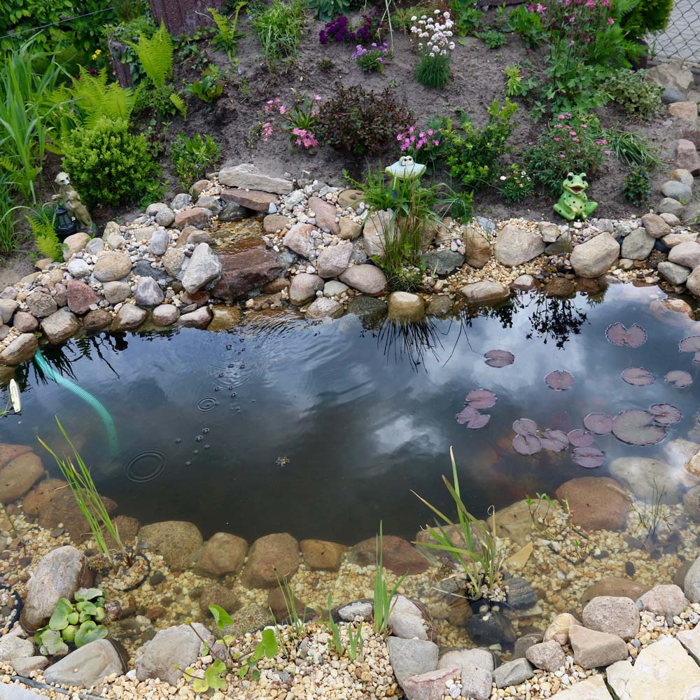 Need Pond Repair?